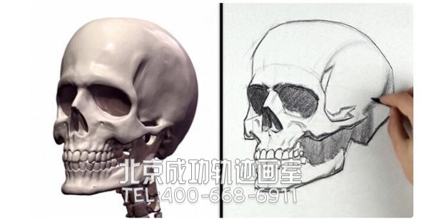 素描教程：人物頭部骨骼結(jié)構(gòu)的素描畫(huà)法步驟